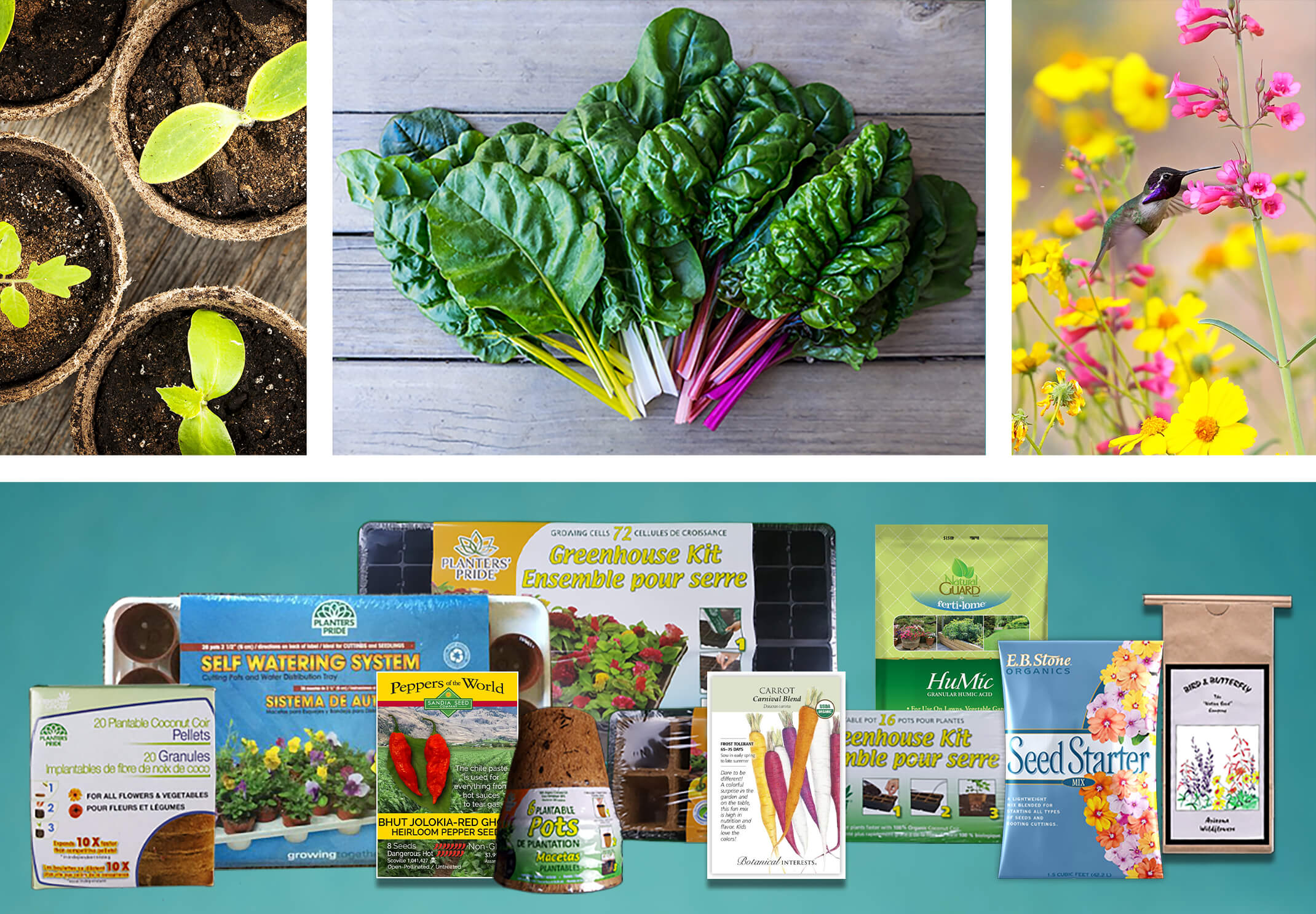 2 colums of images - the top made up of 3: plant starts in round plantable pots; rainbow chard on a wooden table and a hummingbird enjoying a pink flower with yellow flowers in the background. The second column is a variety of tools to grow from seed, including pulp pots, seeds, seed trays, soils and more--all on a blue background