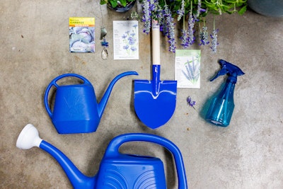 A variety of blue garedening tools, seed packages, a decorative hanging crystal, and purple plants -- all displayed with a concrete floor