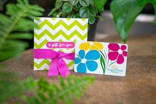 SummerWinds gift card and gift envelop on table surrounded by houseplants