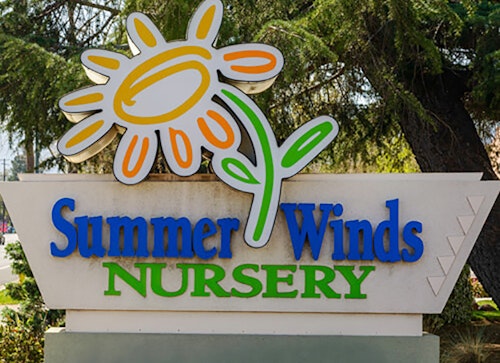 SummerWinds monument sign SummerWinds Nursery monument sign with evergreen tree in the background