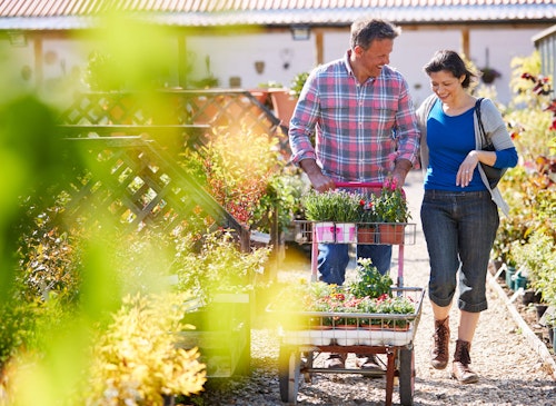 a couple walking through garden center a couple walking through and shopping in a garden center