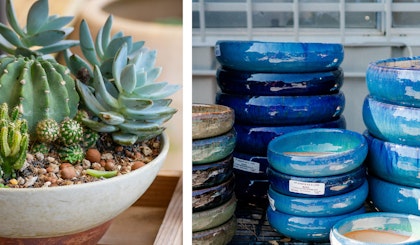 succulents and cactus in low bowl pot with decorative rocks and a second image of low bowl pots in blue and beige