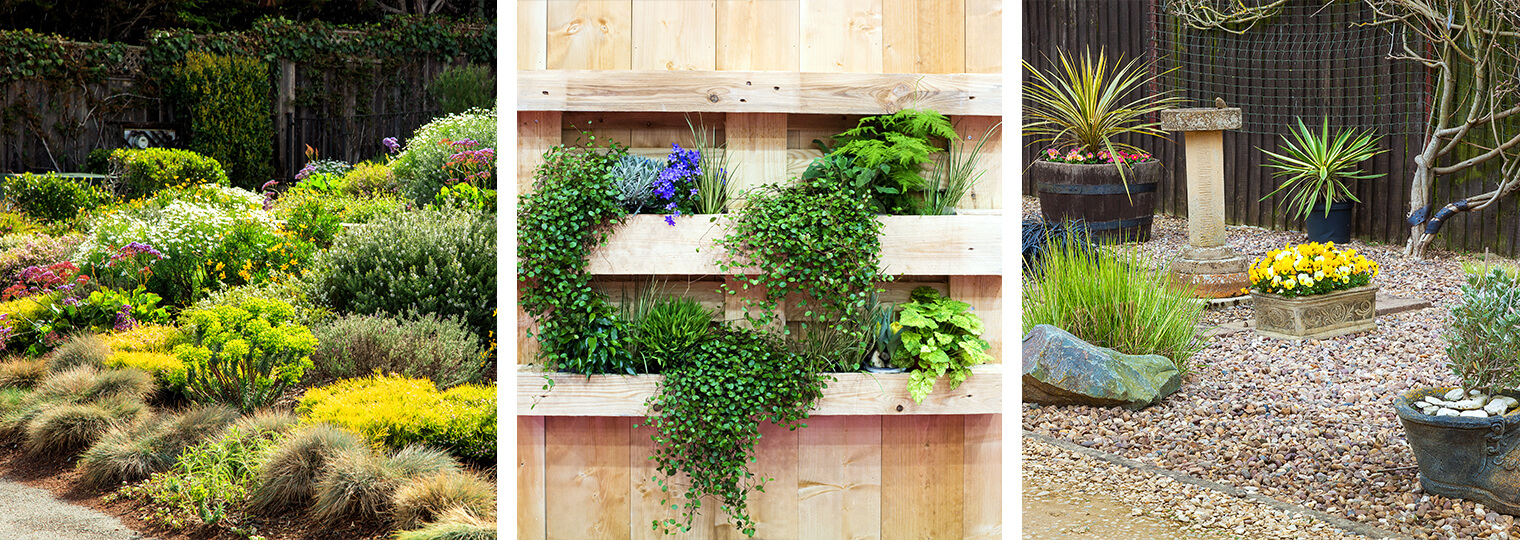 Vertical garden plants