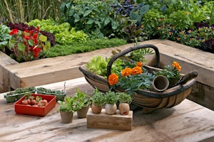 Wooden Table with Basket and Fresh Plants Near Raised Garden Bed