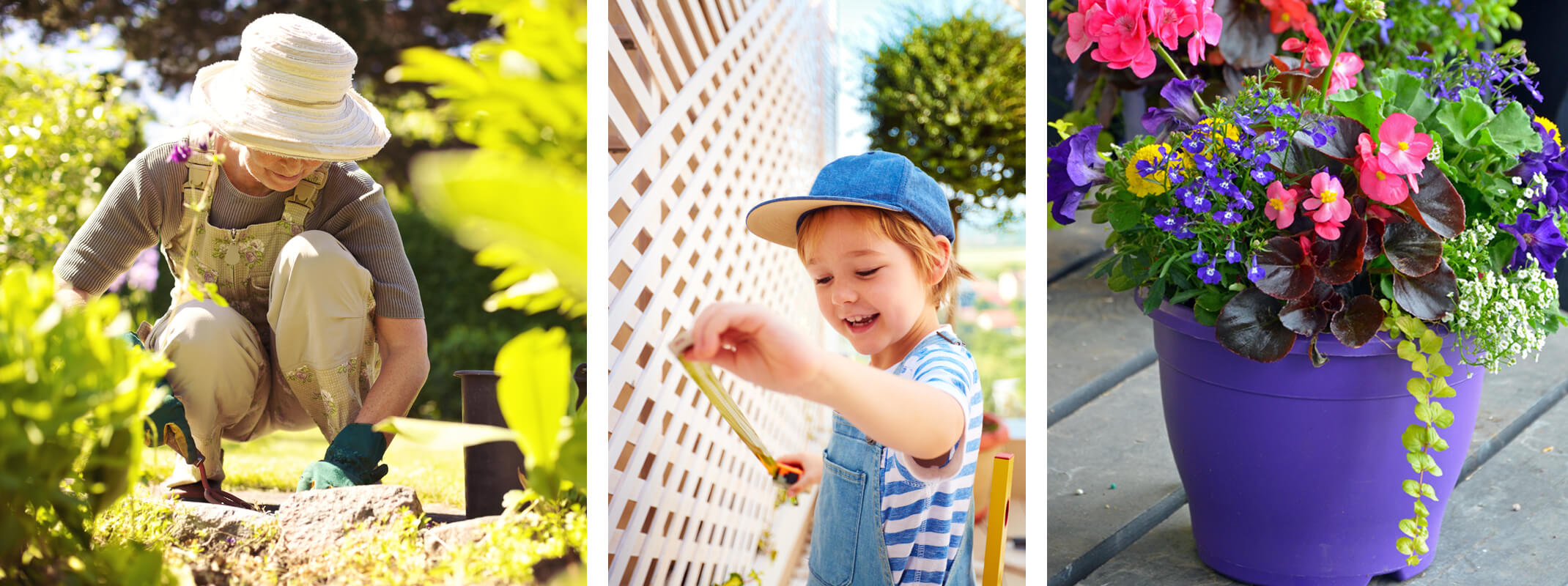 3 images with the first being a woman bending over in the garden and the second a young boy measuring out a trellis and the third a colorful purple garden container full of flowers