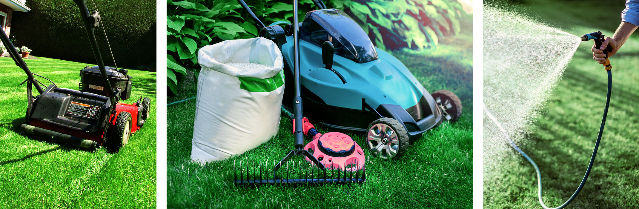 3 images: a healthy lawn being mowed; a lush lawn and plants with a lawn mower, a rake, a lawn sprinkler and white bag; someone spraying water on or near their lawn