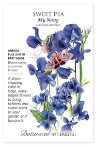 botanical interests sweet pea my navy seed packet