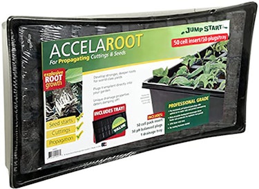 Jump start accelaroot for propagating cuttings and seeds