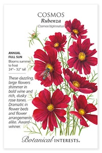 botanical interests cosmos rubenza  seed packet