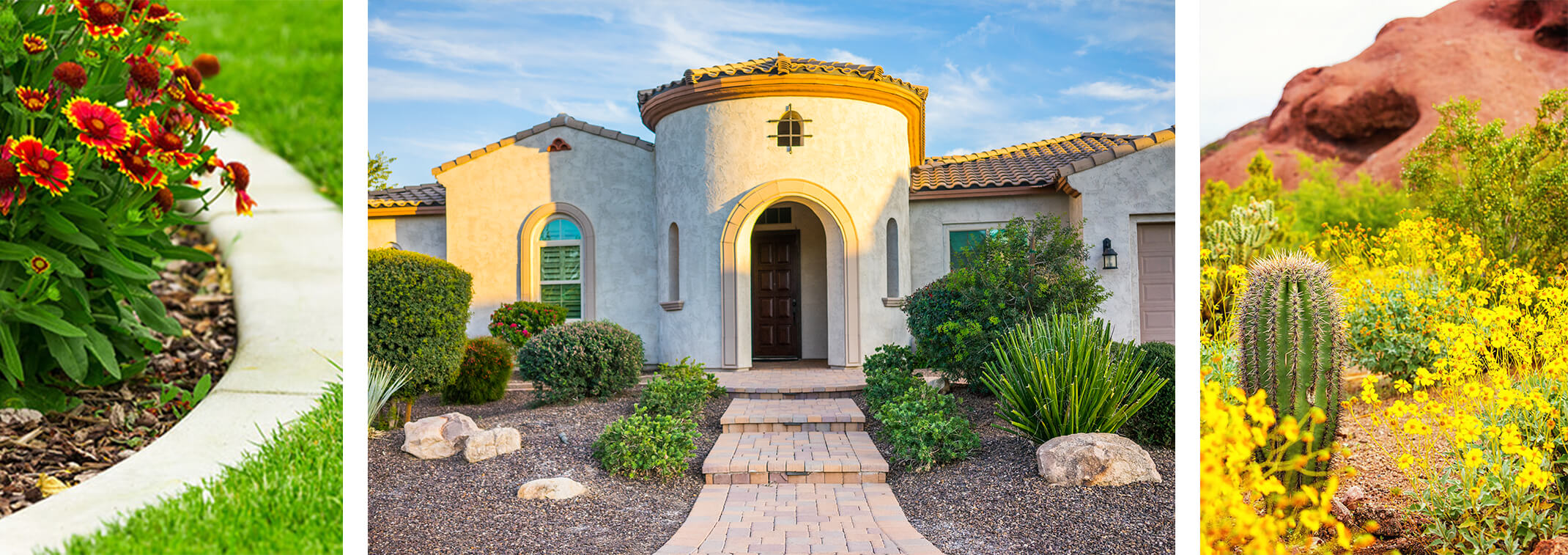 3 images: Gaillardia planted with mulch near concrete border and a lush green lawn; a beautiful Arizona house with a variety of plants surrounded by mulch and large rocks; and cacti and desert flowers in a desert landscape with red rock mountains in the background