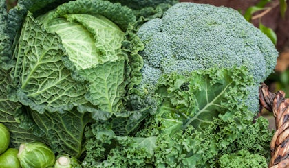 Cabbage and broccoli and brussels sprouts in a basket