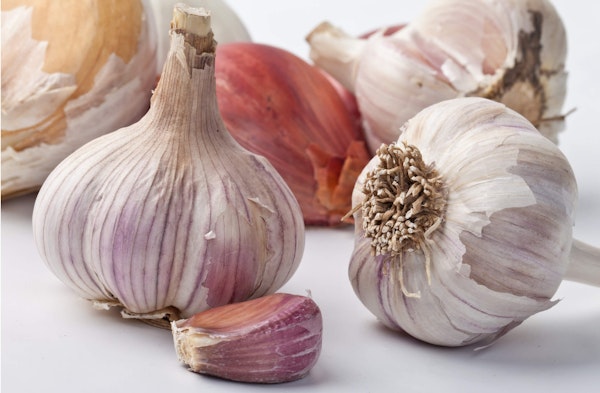 assorted garlic from spring bulbs