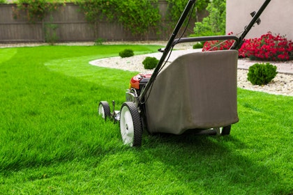 A lawnmower on a partially mowed lawn with rocks and a variety of plants in the background, a fence and the corner of a building