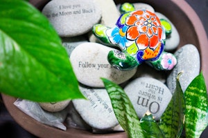 A closeup of a bowl near houseplants, filled with inspiration rocks with a variety of sayings on them and a brightly painted Talavera turtle on top