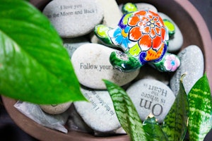 Inspirational Rocks and Talavera Turtle A closeup of a bowl near houseplants, filled with inspiration rocks with a variety of sayings on them and a brightly painted Talavera turtle on top