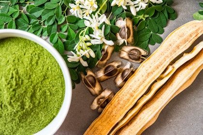 moringa powder in a bowl, moringa leaves, flowers, seeds and pods on a gray surface