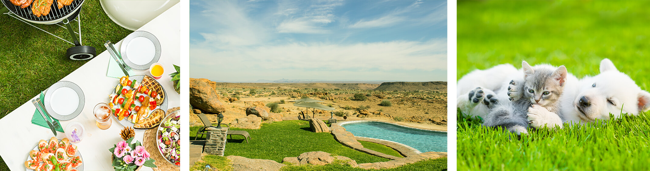 3 images - a table outside with food and place settings on it near a lawn and grill (with food cooking); a small private pool set in a desert landscape with seating and an umbrella, and lush green grass immediately surrounding the pool are only; and a kitten and a puppy laying together on a nice lawn