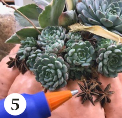 succulent topped pumpkin diy step 5 glueing on additional decorative elements in this image floral wooden pieces