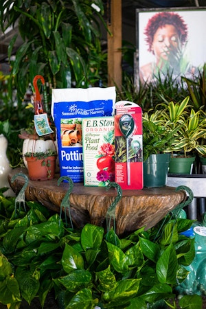 A variety of houseplants and accessories including SW Potting Soil, EB Stone Organics Plant Food and a Moisture Meter