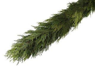 cedar garland 