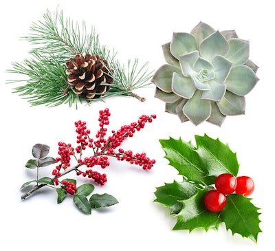 Decorative elements for a gift box including succulent, holy, evergreen sprig and red berries