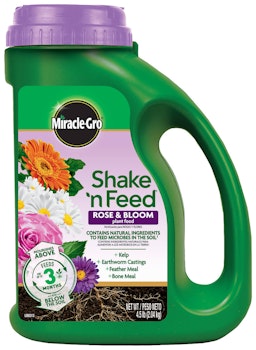 miracle-gro shake 'n feed rose & bloom 4.5 lb. jug miracle-gro shake 'n feed rose & bloom 4.5 lb. jug
