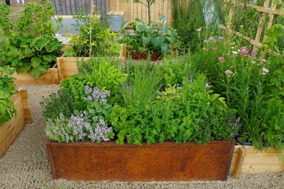 A raised herb garden with a wide variety of full-grown herbs growing