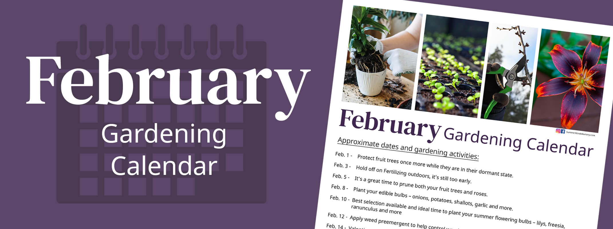 february gardneing calendar showing the some of the tips for the month