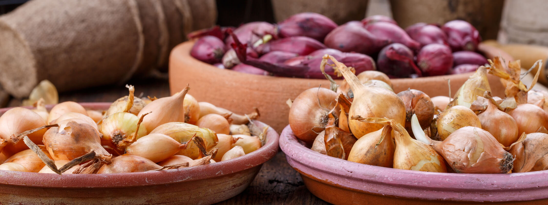 Red, yellow and white onion bulbs