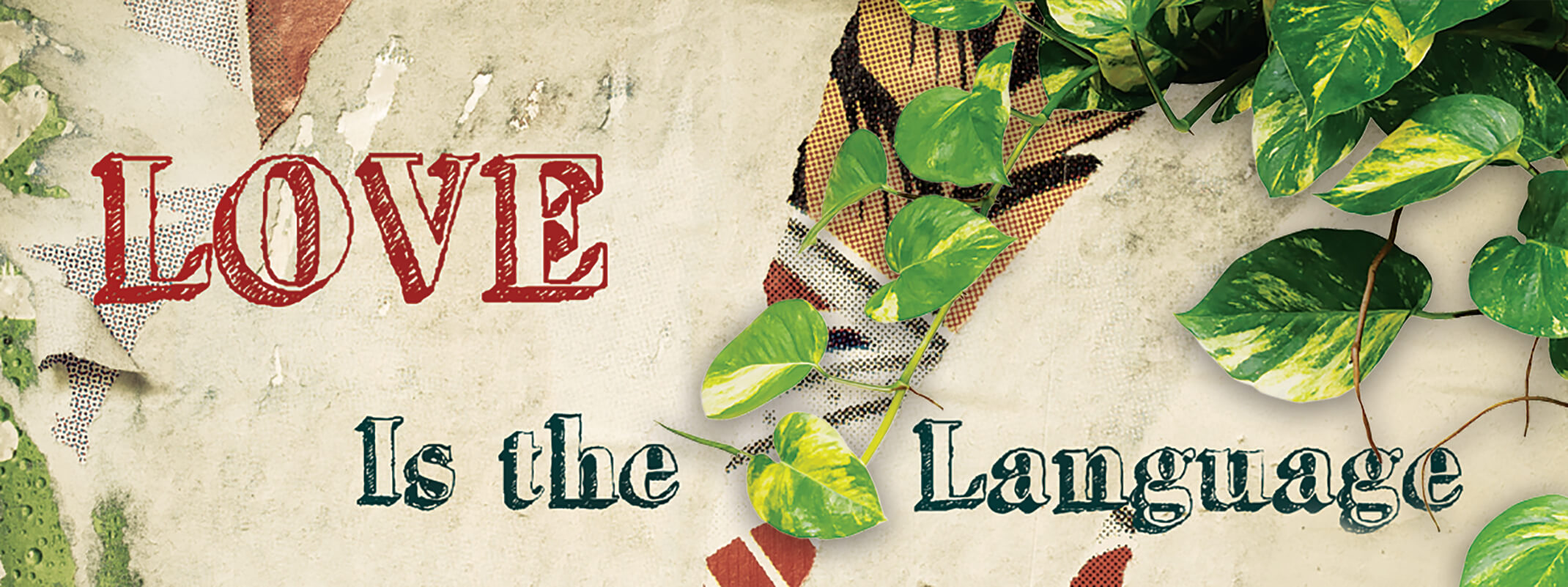 love is the language with houseplants