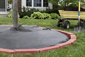 weed barrier cloth surrounding a freshly planted tree in landscape