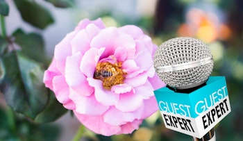 spring celebration with pink rose and bee and guest expert speaker pink rose with bee in the center and a microphone in the foreground with the words guest expert on it