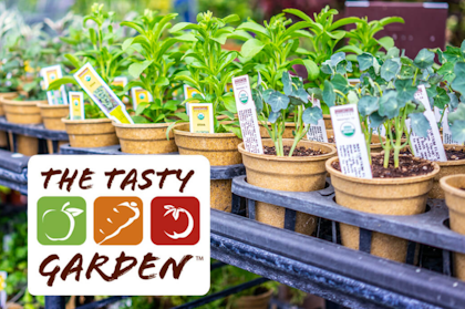 Edible gardening plants on racks tasty garden logo