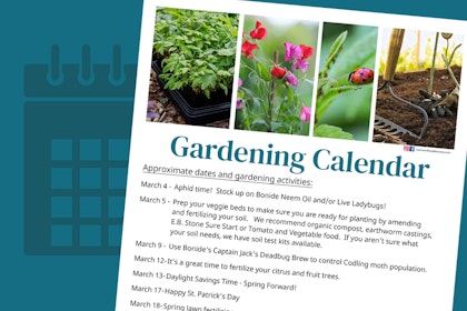 gardening calendar to show what to do each month in garden