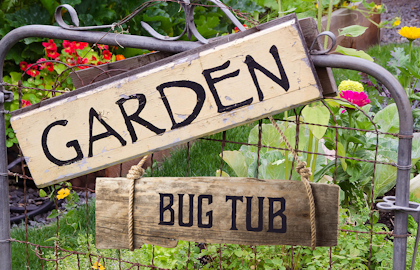 Metal gate with Garden bug tub on wooden signs with an assortment of perennials planted in a raised garden bed