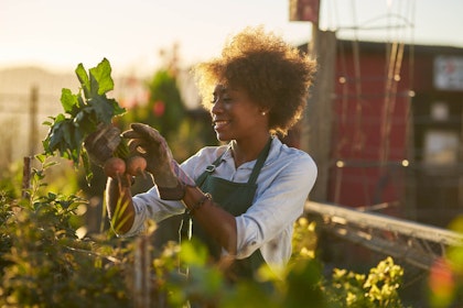 Happy Woman Gardener Growing Vegetables