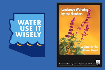 Water - Use It Wisely (logo) and image of their Landscape Watering by the Numbers guide