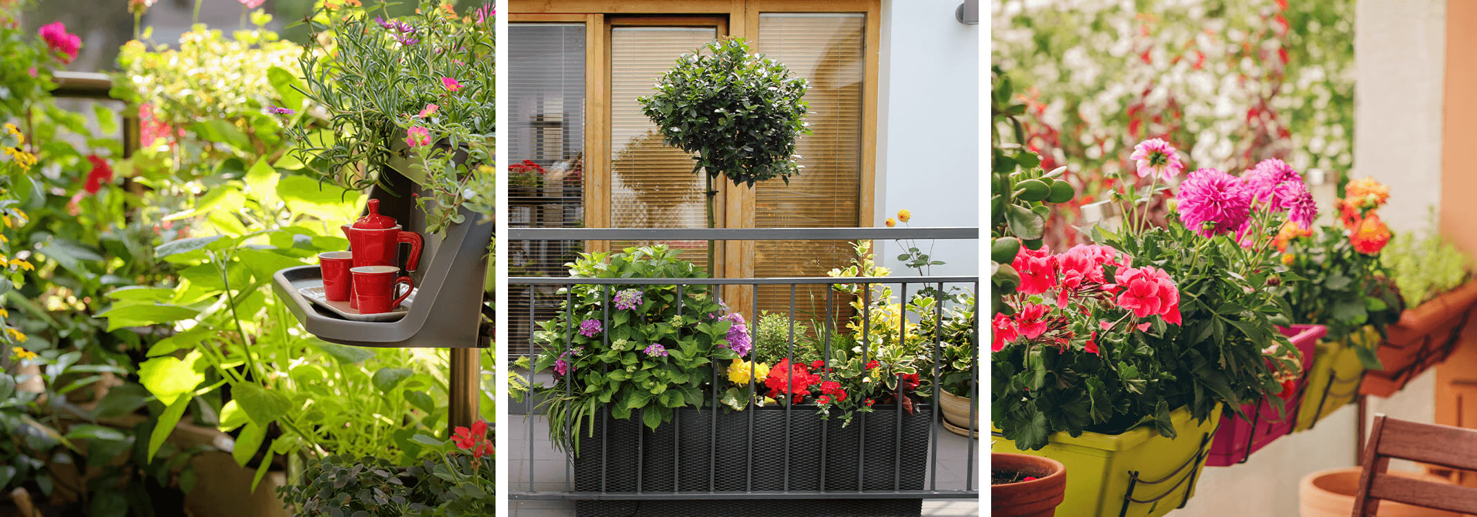 three images of lush green plants and flowers in planters on balconies