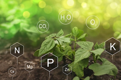 vegetable plant growing from the soil with elements for fertilizer from the periodic table floating around the image