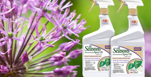 Allium flower in background featuring Bonide Horticultural All Seasons RTU Spray Oil