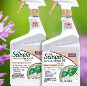 Bonide All Seasons Horticultural Spray Oil