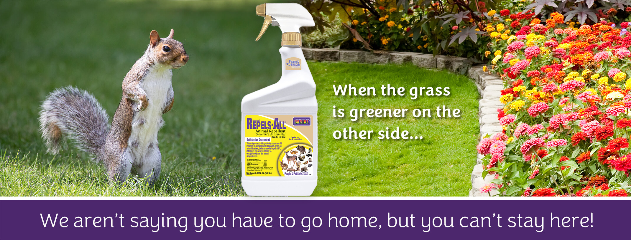 Bonide Repels All Animal Repellent between a squirrel green grass that says when the grass is greener on the other side plus a beautiful flower bed . Then underneath the entire image it says, "We aren't saying you have to go home, but you can't stay here!"