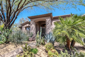 A well-balanced Arizona yard with various trees and shrubs.