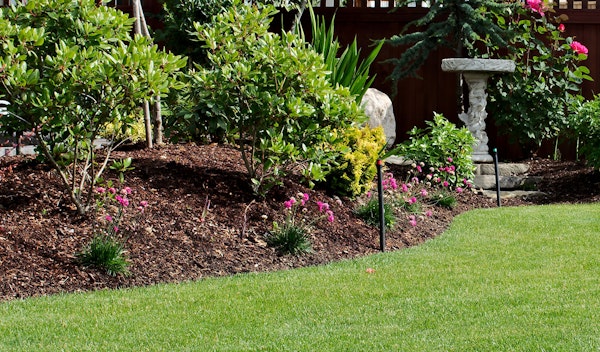 Mulch on a slope around plants, trees and shrubs in garden
