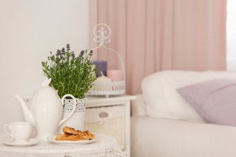 Lavender plant in bedroom on table near tea and breakfast.