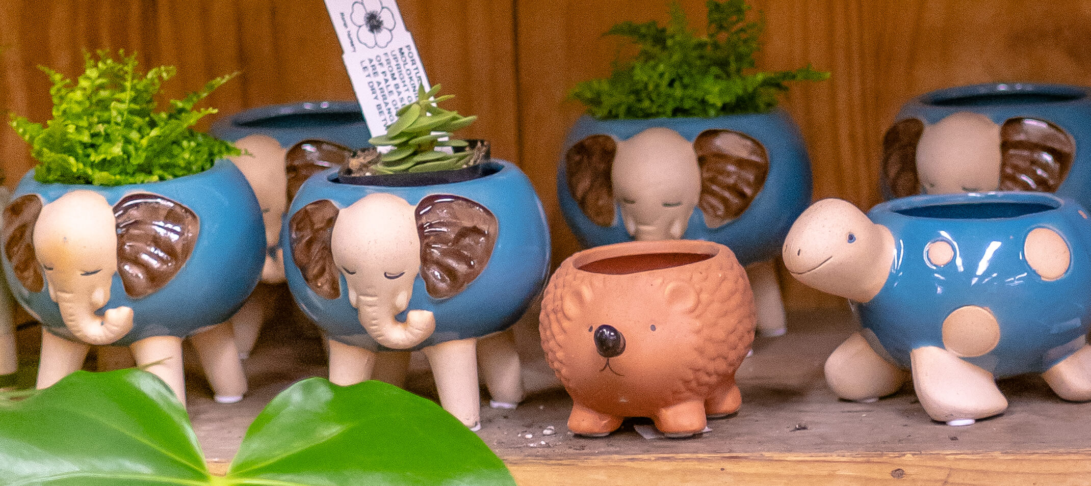 small animal planters for houseplants, elephants, turtles and hedgehog