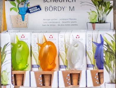 scheurich bordy for houseplant, assorted colors