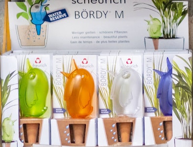 scheurich bordy for houseplant, assorted colors