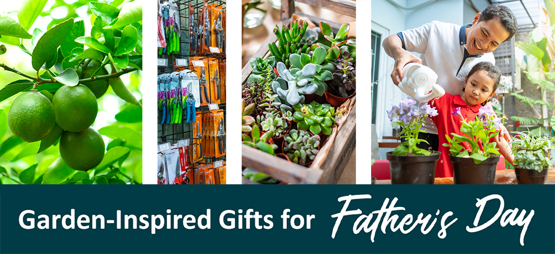 fathers day garden inspired gifts for fathers day suggestions