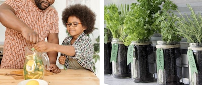 father ad son adding fresh herbs to water and jars of various herbs on counter